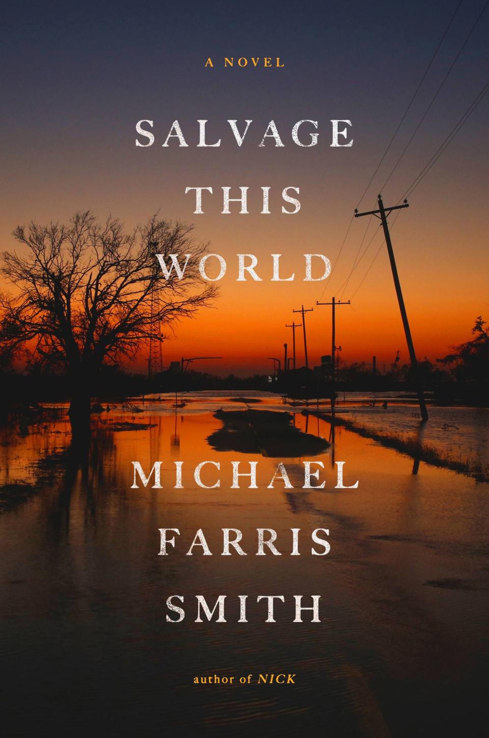 "Salvage This World" by Michael Farris Smith