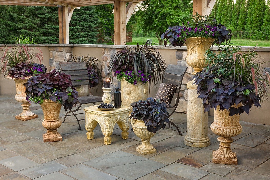 Flowers and shrubs with dark foliage can be combined to create a "goth" garden look, a new trend among gardeners for 2024.