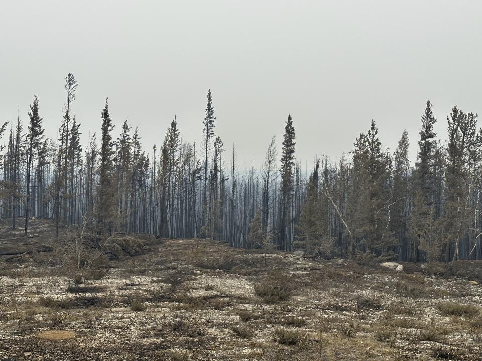 Damage from the wildfires is shown on Tuesday, Aug. 15, 2023 between Enterprise and Kakisa, Northwest Territories, Canada. Thousands of people in eight other communities, have already been forced to evacuate their homes, including the small community of Enterprise, where 80% of the town was destroyed. Officials said everyone made it out alive. (Ryan Planche via AP)