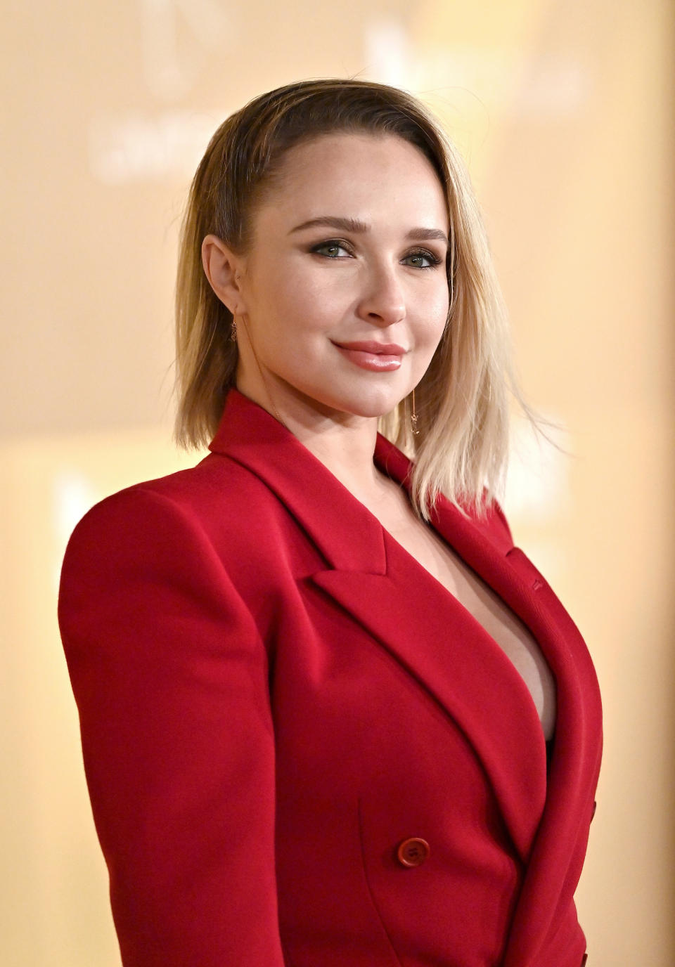 Hayden Panettiere on the red carpet