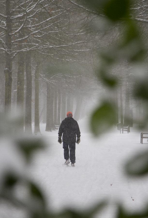 A man walks down a snowy path in the park in Wilrijk, Belgium on Tuesday, March 12, 2013. An overnight snowfall on Monday evening snarled rush hour traffic on Tuesday morning. (AP Photo/Virginia Mayo)