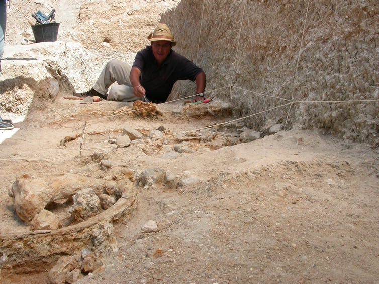 <span class="caption">Sahnouni excavating at the site.</span> <span class="attribution"><span class="source">M. Sahnouni</span></span>