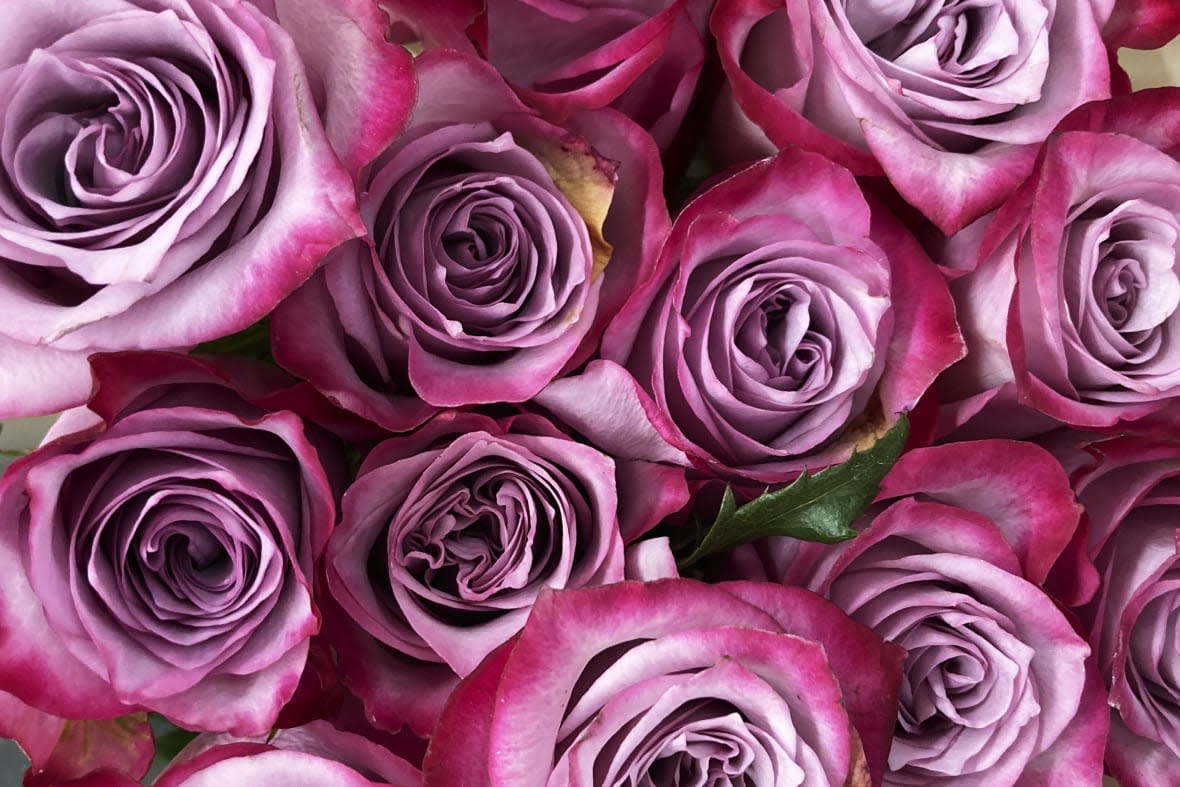 Roses for Valentine’s Day appear at a retail store in Skokie, Ill., on Feb. 10, 2022. (AP Photo/Nam Y. Huh, File)