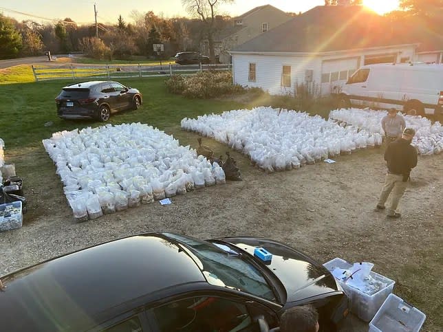 <em>Clandestine mushroom-growing operation found at Soule’s residence. (SOURCE: Connecticut State Police) </em>