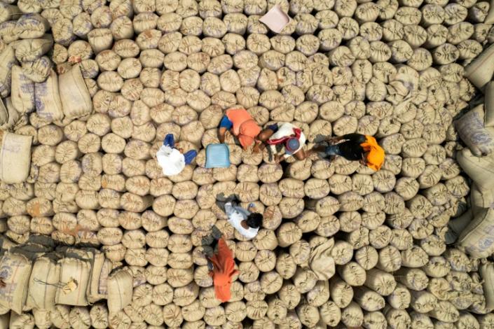 Labourers seal gunny sacks of millet, the gluten-free grain which India has been championing and served at a G20 dinner, on the outskirts of Bengaluru earlier this year (Manjunath KIRAN)