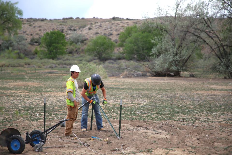 A $344,000 landscape restoration project at Aztec Ruins National Monument that got started on May 13 is aimed at protecting unexcavated cultural resources from erosion.