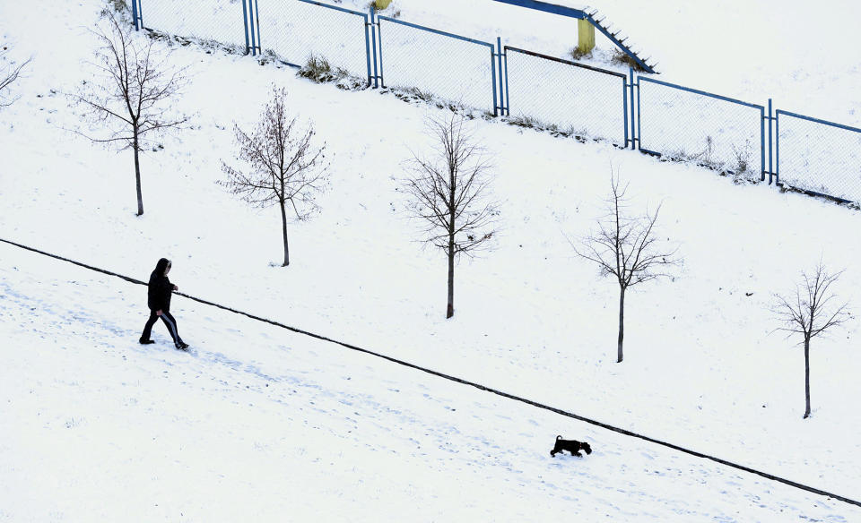 Man with a dog walks during the first snowfall in Minsk