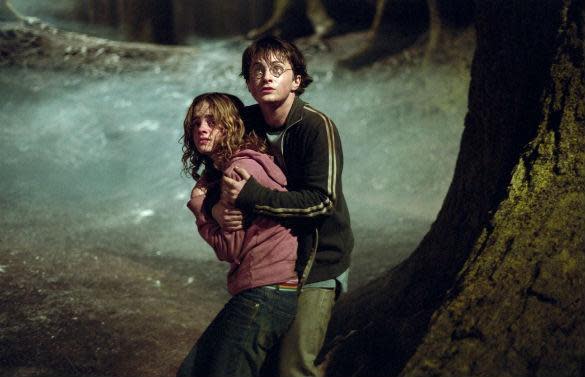 harry potter and hermione granger love story