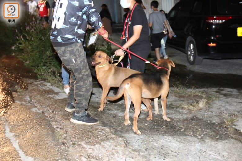 男義工協助將犬隻拖走。(梁頴福攝)