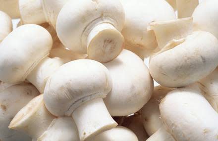 Around 100 species of mushrooms are said to be dangerous to humans