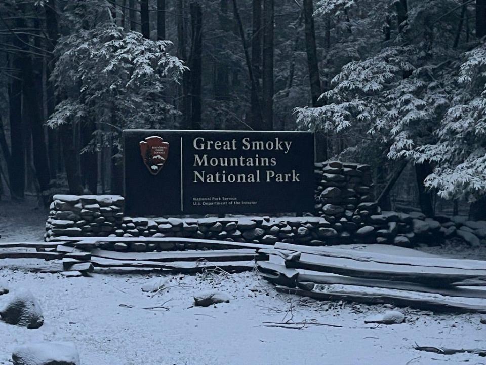 Snow covers the Great Smoky Mountains National Park after an Arctic blast pushed through WNC Jan. 16.