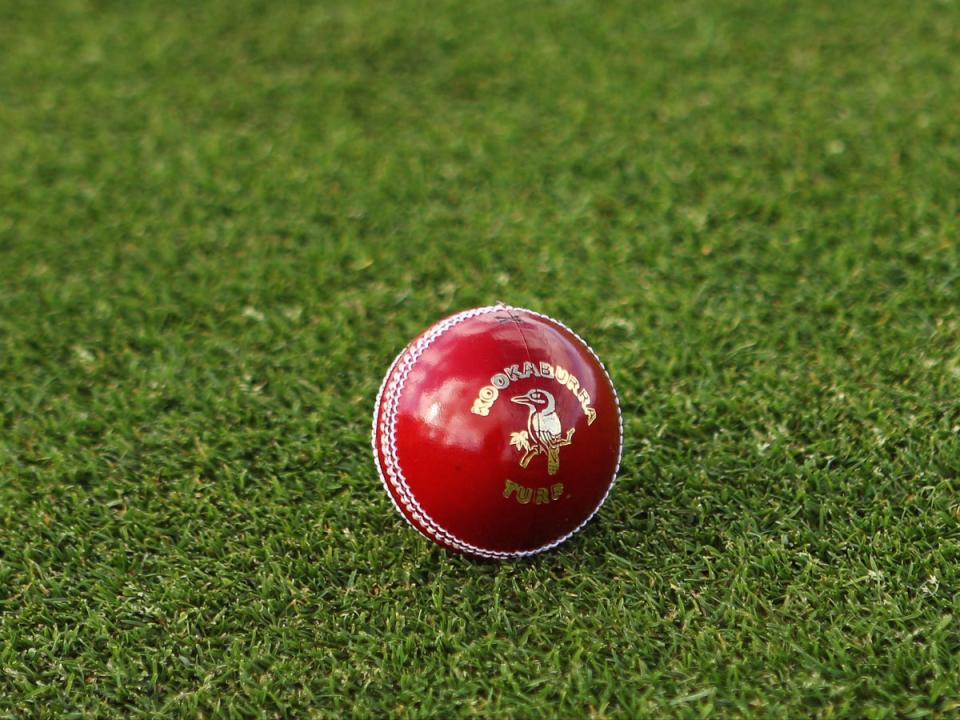 A general view of a cricket ball (Getty Images)