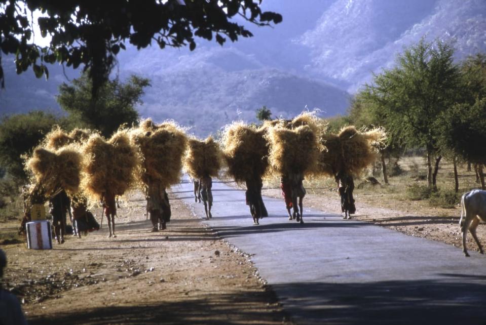 <div class="inline-image__caption"><p>Peace Corps, India, 1966, Haystacks. </p><p> “My attempt to photograph the Peace Corps program in India was fraught with frustration as I found India a compression of opposites both hideous and beautiful. The twelve hundred volunteers working there in 1966 sought to make progress among half-a-billion people. They were <i>needles in the haystack</i>, so I decided to spend several months photographing the haystack instead of the needles.” </p></div> <div class="inline-image__credit">All photographs are copyright Fred Baldwin from the book Dear Mr. Picasso: An Illustrated Love Affair with Freedom published by Schilt Publishing</div>