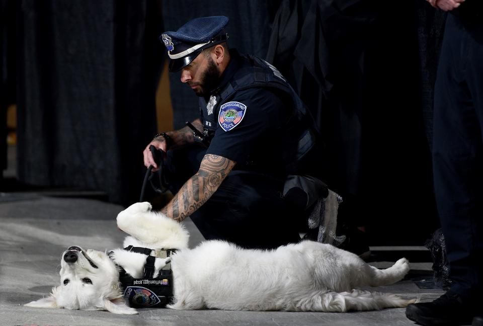 QCC Police Officer Nick Yacuzzi pets Siggy, a 7-month-old English cream golden retriever that serves as an emotional support/ community resource dog for the college, during Quinsigamond Community College commencement exercises at the DCU Center on Friday.