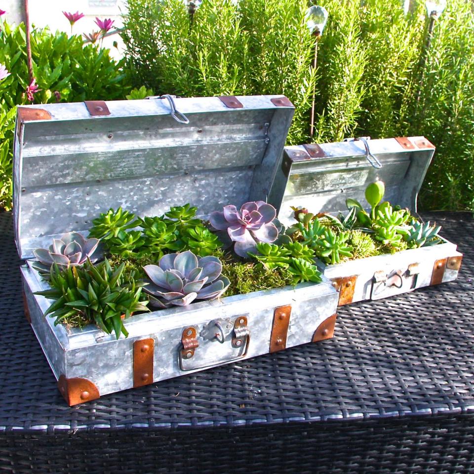 Galvanised Steel Suitcase Planters