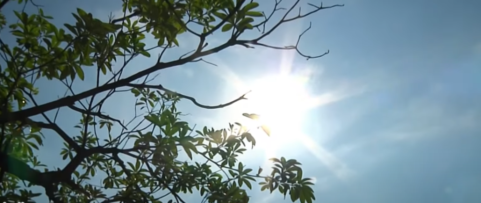 今日天氣依舊炎熱。（示意圖／中天新聞）