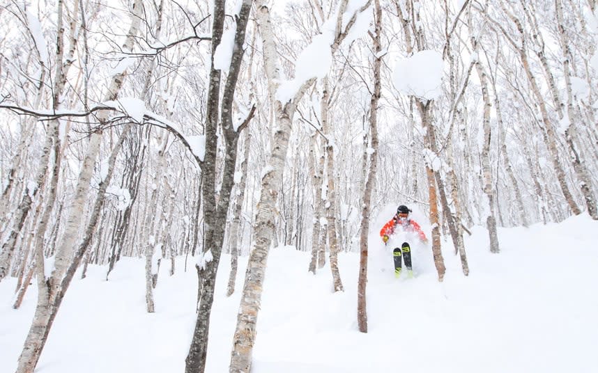 Japan's powder is world-famous - Alamy