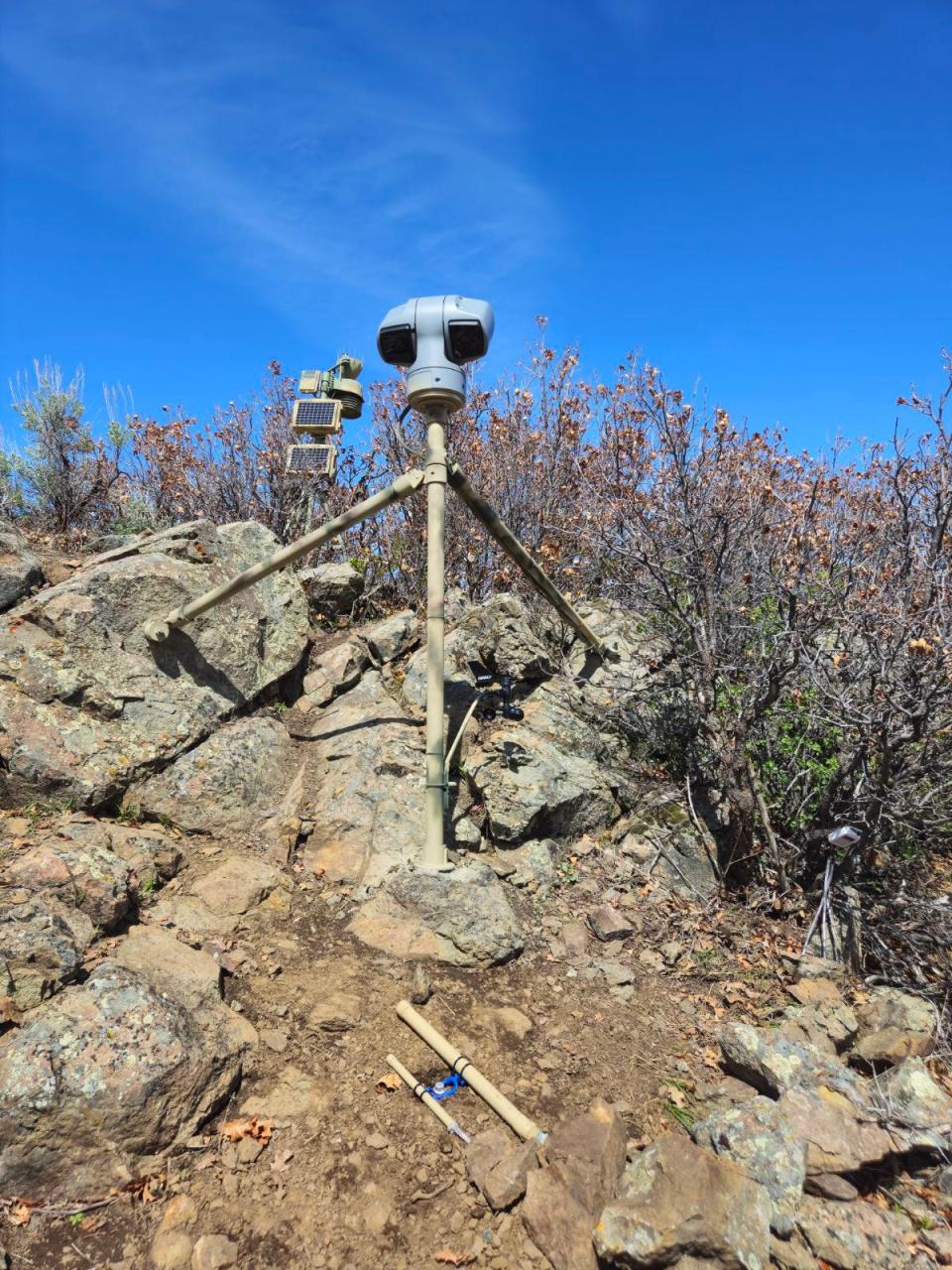 The RattleCam, deployed by Cal Poly researchers in northern Colorado, described as a "mega-den," relays footage from a den with as many as 2,000 rattlesnakes in the greater den complex.