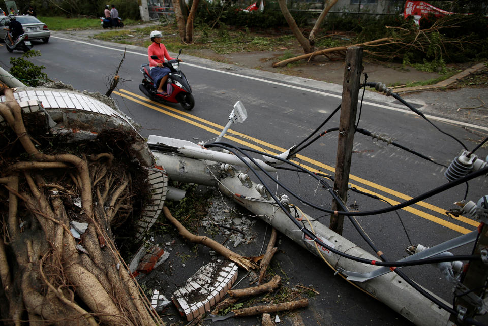 A motorcyclists ride past a fallen utility pole and trees