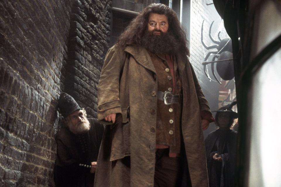 ROBBIE COLTRANE as Hagrid Harry Potter and the Chamber of Secrets