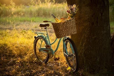 Autumn and wine, a fine combination - Credit: NightAndDayImages/NightAndDayImages