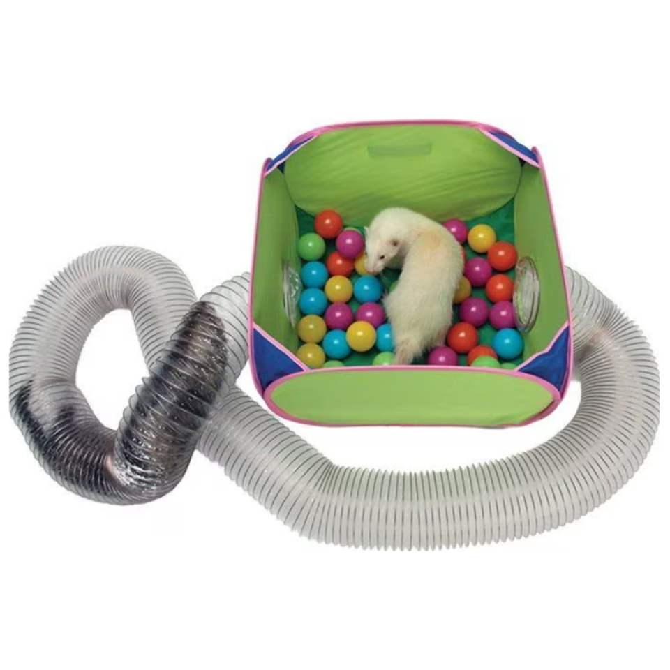 <p><a href="https://go.redirectingat.com?id=74968X1596630&url=https%3A%2F%2Fwww.chewy.com%2Fmarshall-pop-n-play-ferret-ball-pit%2Fdp%2F128774&sref=https%3A%2F%2Fwww.womansday.com%2Flife%2Fpet-care%2Fg44940228%2Fbest-ferret-toys%2F" rel="nofollow noopener" target="_blank" data-ylk="slk:Shop Now;elm:context_link;itc:0;sec:content-canvas" class="link ">Shop Now</a></p><p>Pop-N-Play Ferret Ball Pit Toy</p><p>chewy.com</p><p>$36.99</p><span class="copyright">Chewy</span>