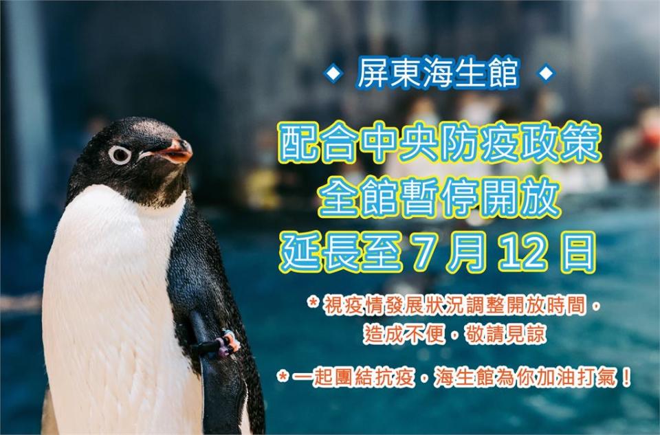 屏東海生館開館21年來首次0遊客　線上直播近距離看餵食秀