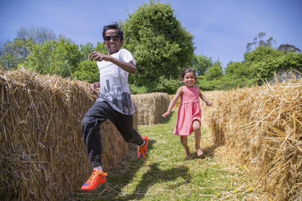 See magic at the National Botanic Garden of Wales