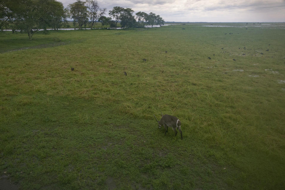 Mozambique/Piotr Naskrecki/Harvard University and Gorongosa National Park/Submitted