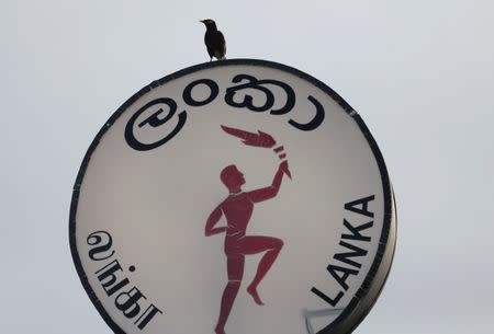 A bird rests on top of a Ceylon Petroleum Corporation logo board at a closed fuel station near the highway entrance in Galle, Sri Lanka July 26, 2017. REUTERS/Dinuka Liyanawatte