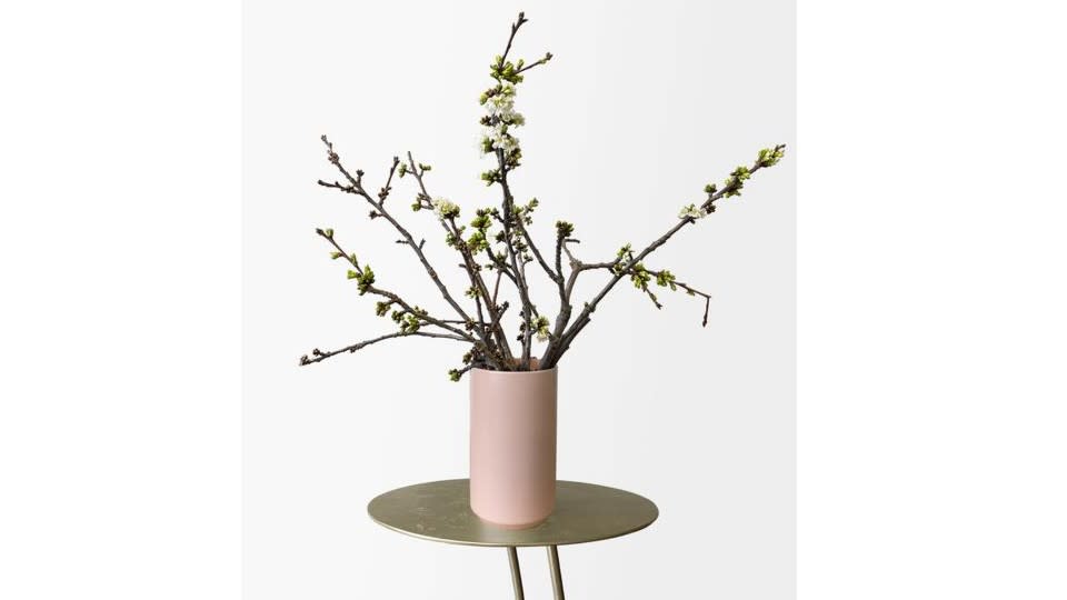 Cherry Blossom Branches - Tonic Blooms, $67