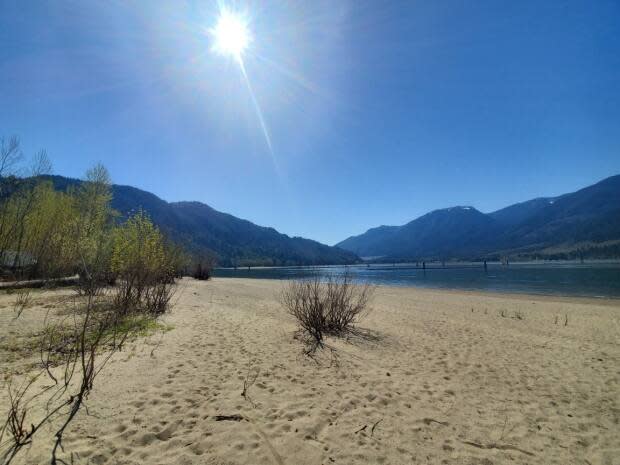Kilby Provincial Park on the Harrison River has 35 campsites. (Submitted to CBC - image credit)