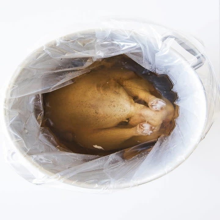 A turkey being brined.