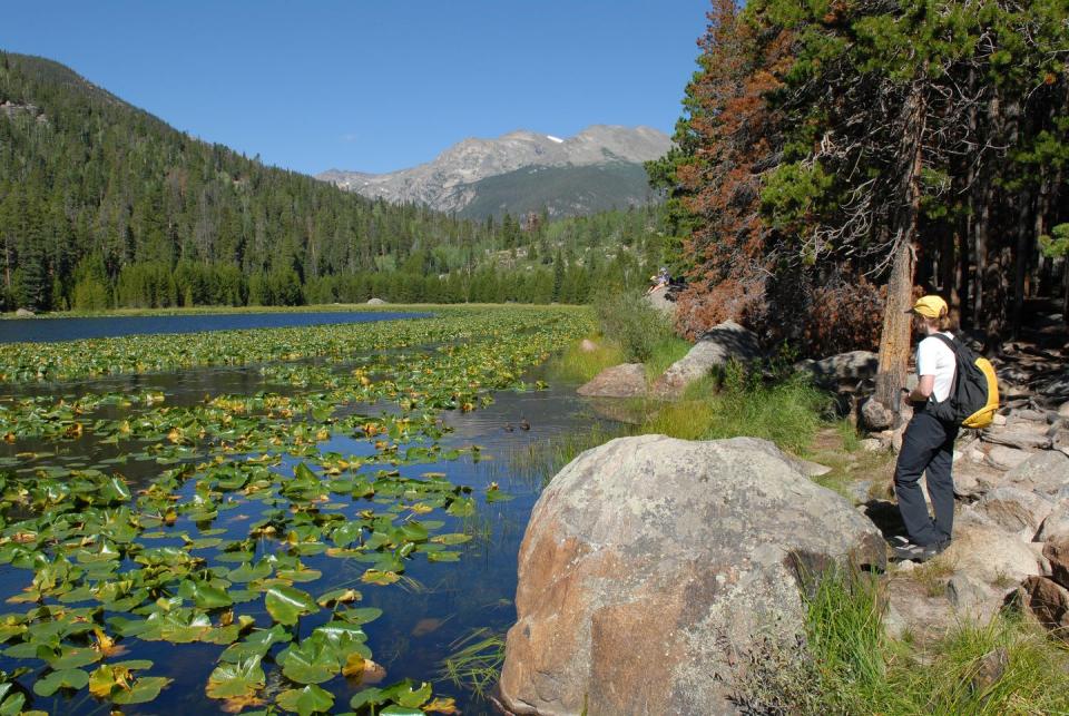 6) Colorado: Lily Pad Lake Trail