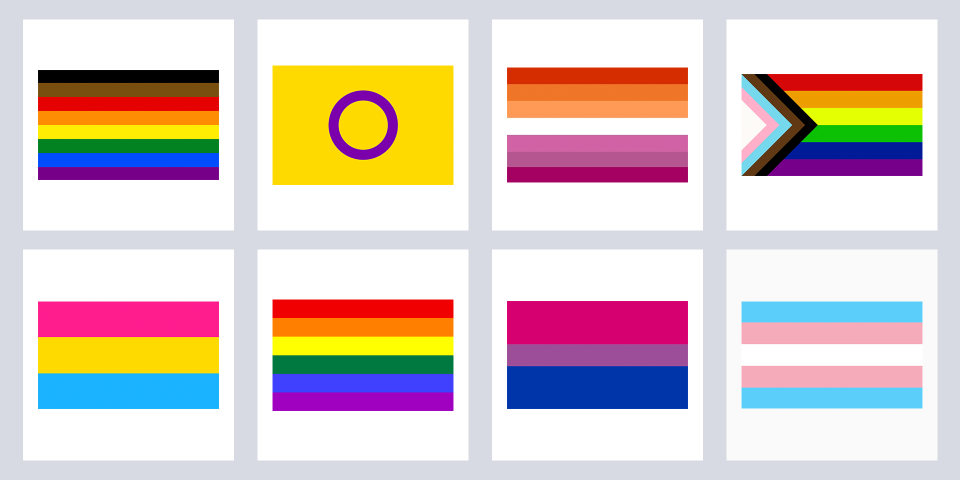 21 LGBTQ Pride Flags and What They Stand For