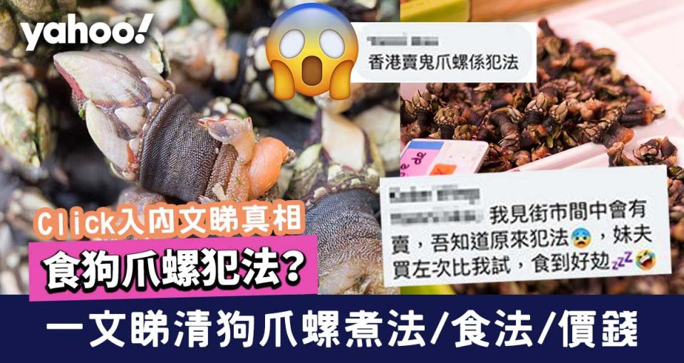 都市傳說指食狗爪螺其實是犯法，說法是真是假？ 