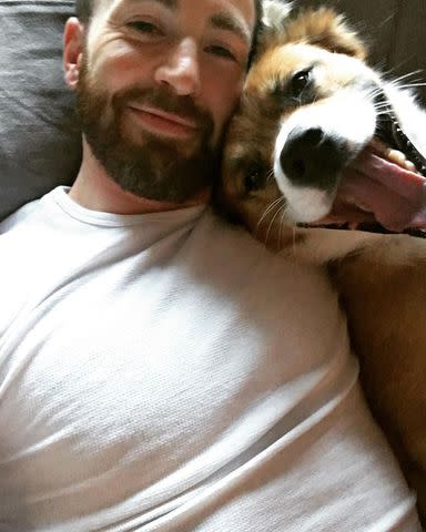 Chris Evans Returns to Instagram to Spotlight Shelter Dogs in Need of ...