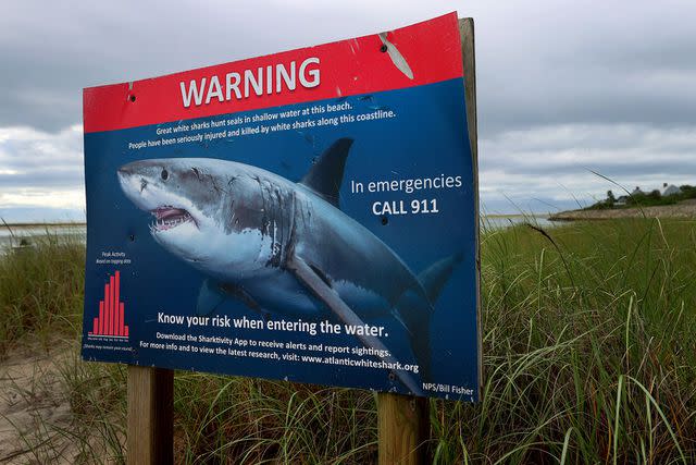 <p>David L. Ryan/The Boston Globe via Getty</p> A Great White sign in Cape Cod