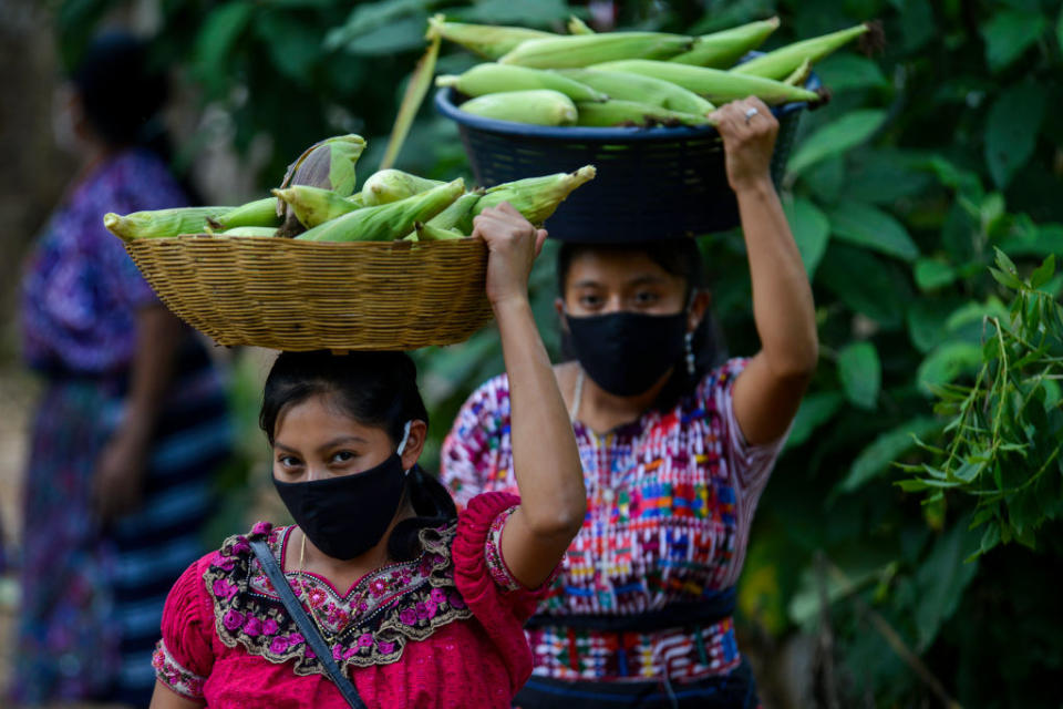 Guatemalan women carry corn during the pandemic. Source: Getty