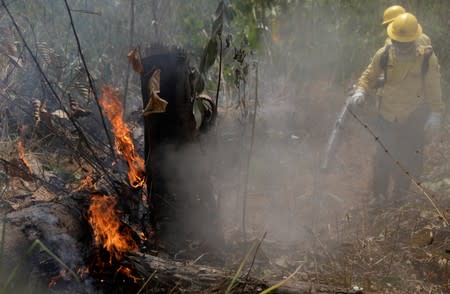 Firefighters extinguish a fire in Amazon jungle in Porto Velho