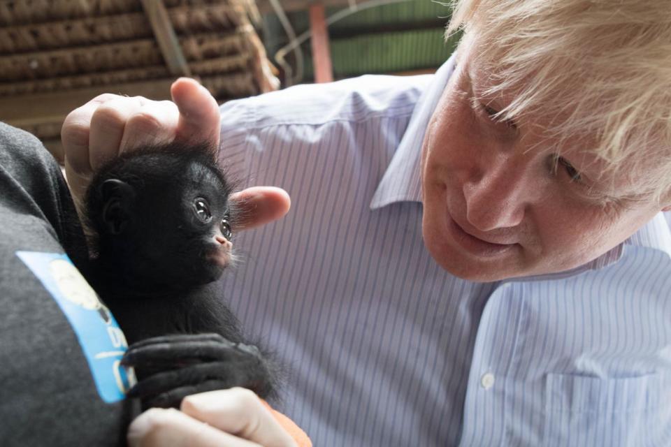 Boris Johnson is shown a baby black spider monkey (maquisapa negra) that was rescued by rangers after its parents were killed by poachers (PA)