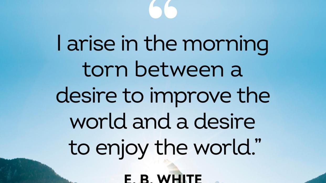 special good morning quotes by e b white