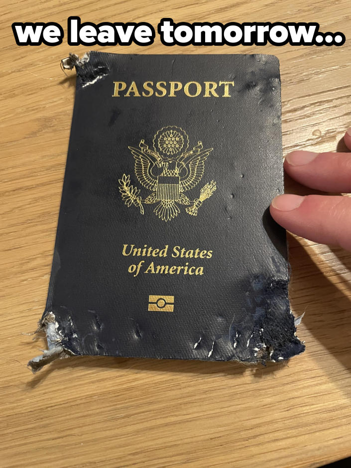 broken passport