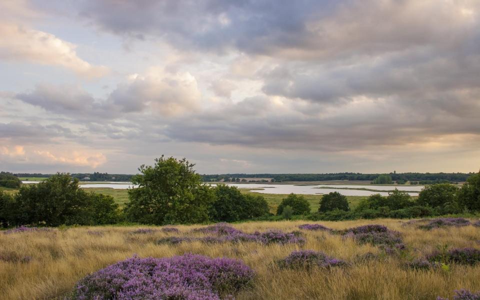 The River Alde - Getty