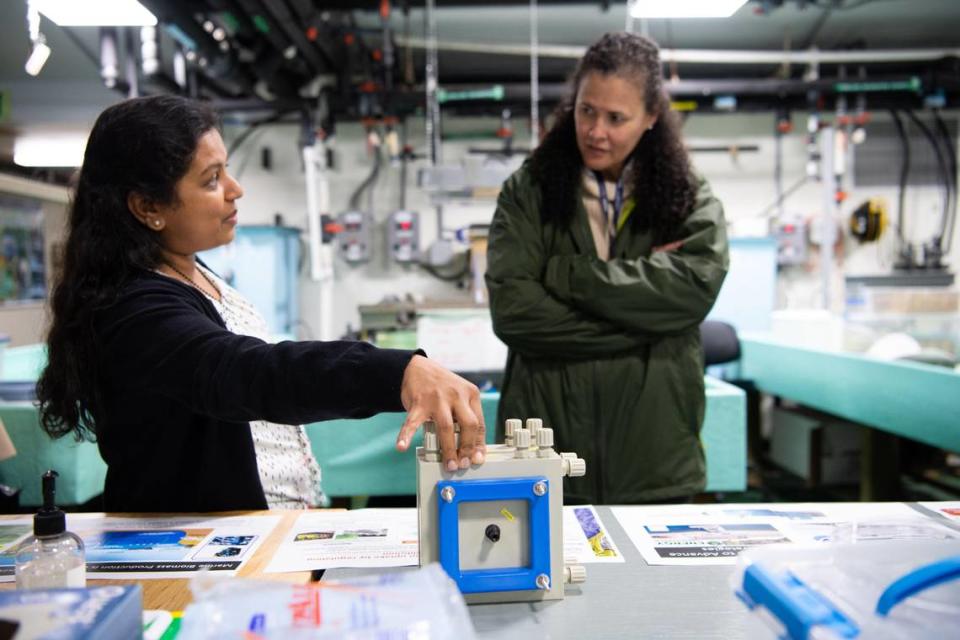 PNNL chemist Chinmayee Subban, left, discusses approaches for using the ocean to remove carbon dioxide from the atmosphere with Kelly Speakes-Backman, who was with the Department of Energy during this 2022 visit to PNNL-Sequim.