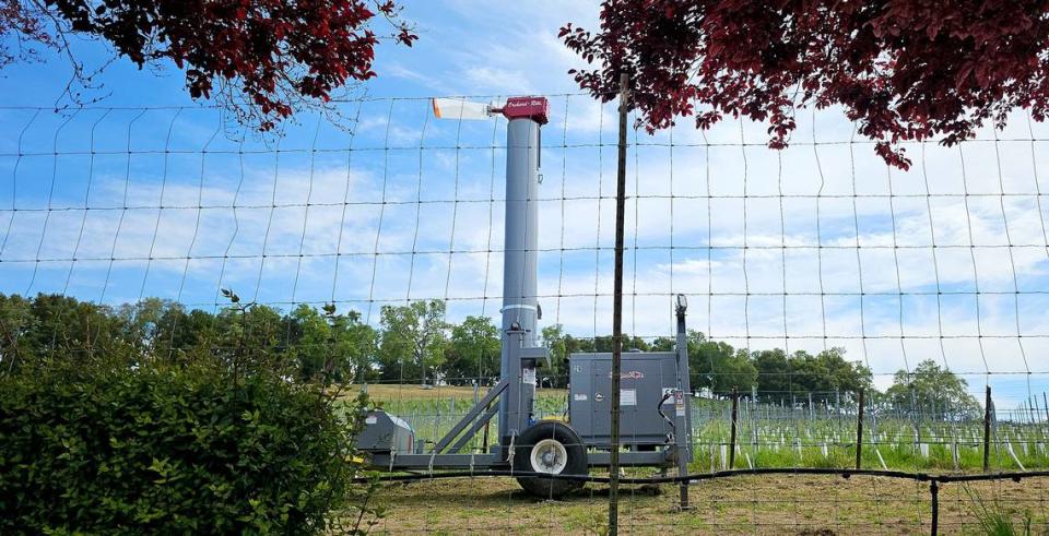 Wind machines like this one installed at Jada Vineyard in Paso Robles have led to conflicts between growers and neighboring residents in San Luis Obispo County’s rural areas.