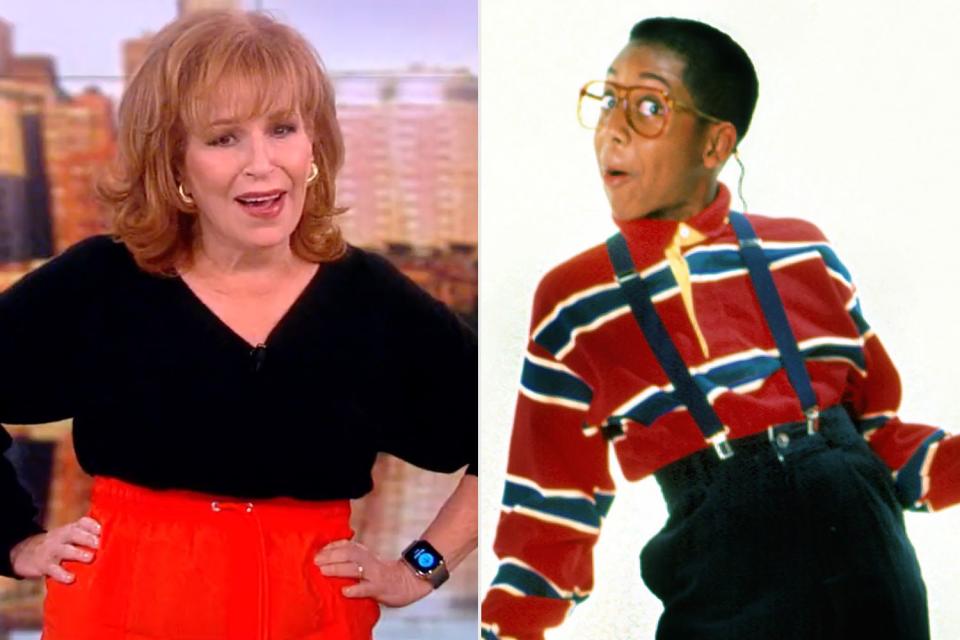 <p>The View;Everett collection</p> Joy Behar, Steve Urkel