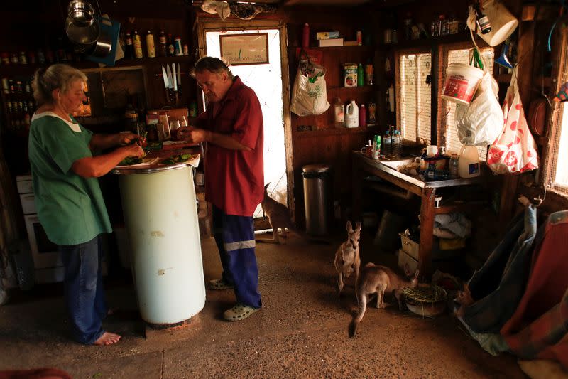 The Wider Image: At home with couple who saved baby kangaroos from the fires