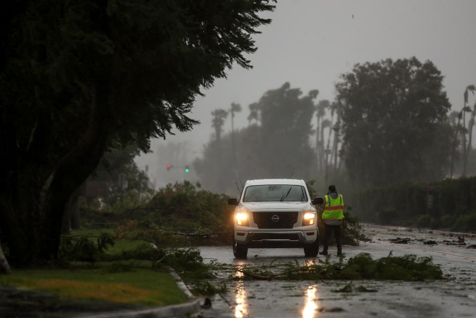 Dozens of trees were downed by high winds along Monterey Ave. in Palm Desert, Calif., August 20, 2023.