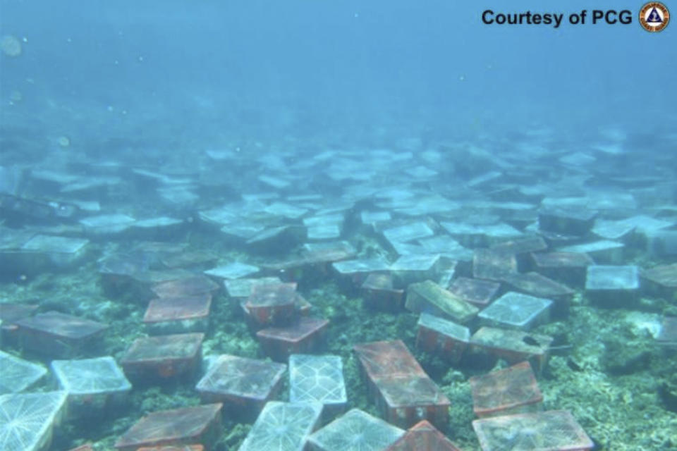 This February 27, 2019 handout photo provided by the Philippine Coast Guard shows plastic containers containing collected topshells by Chinese fishermen at Scarborough shoal, at the disputed South China Sea, the Philippine Coast Guard said. The Philippines blamed Chinese fishermen on Monday May 20, 2024 for the massive loss of giant clams in a disputed shoal fiercely guarded by Beijing's coast guard in the South China Sea and demanded an international inquiry to determine the extent of environmental damage in the far-flung fishing atoll. (Philippine Coast Guard via AP)